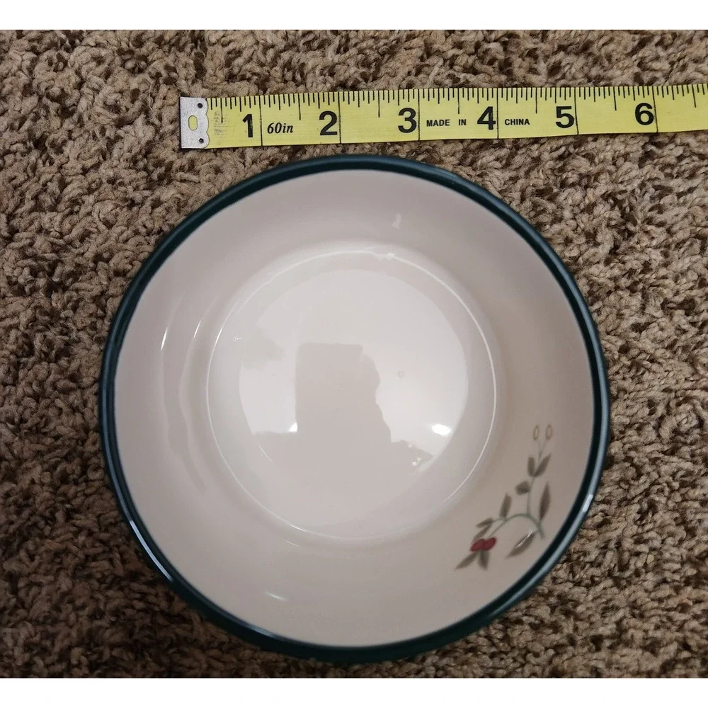 Pfaltzgraff winterberry stoneware